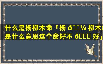 什么是杨柳木命「杨 🐼 柳木命是什么意思这个命好不 🍁 好」